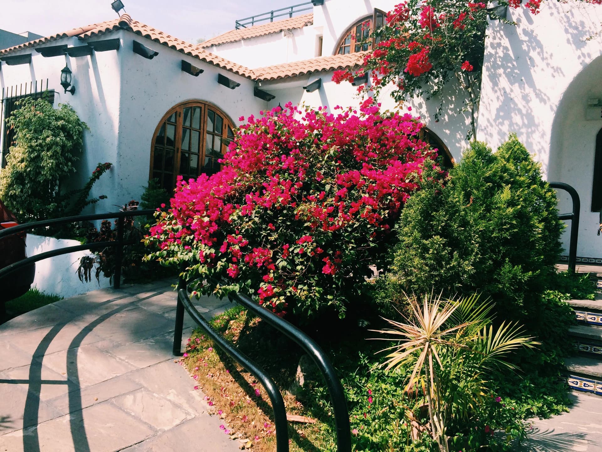 White building with terracotta roof, arched windows, vibrant pink bougainvillea, green bushes, and a curved pathway with railings.